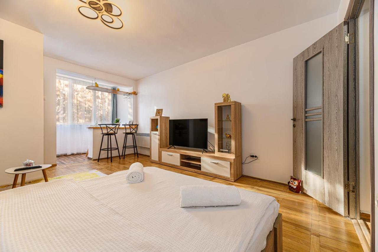 Apartment Jad - Family - & Brasov